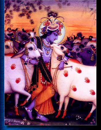 Lord Krsna and His dearly beloved Surabhi cows in Gokula Vrndava.